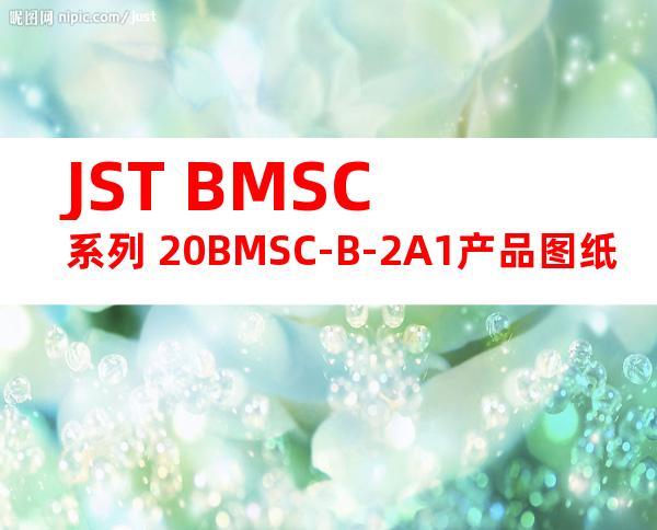 JST BMSC系列 20BMSC-B-2A1产品图纸